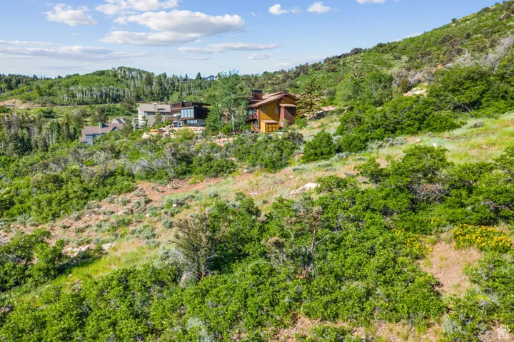 View of yard featuring a wooded view