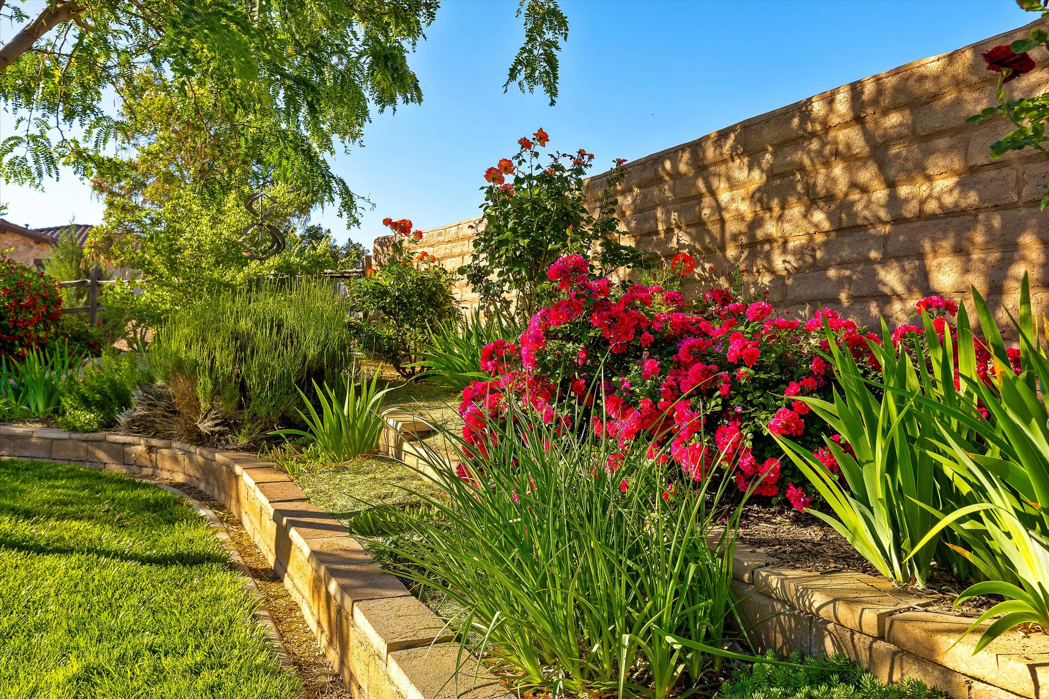 Lush garden area featuring vibrant red rose bushes, varied green foliage, a block retaining wall, and a manicured lawn