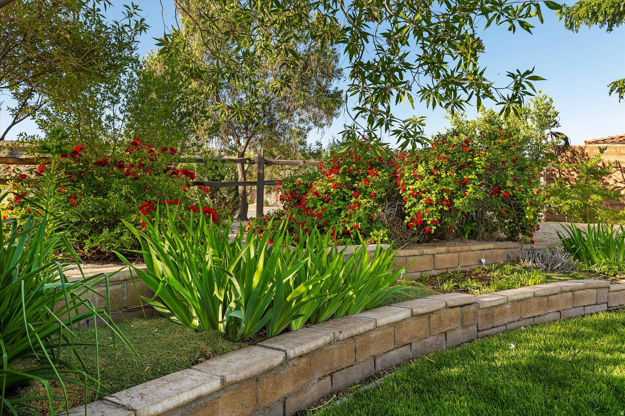 Tiered landscaping featuring stone block retaining walls, vibrant red flowering shrubs, and lush green foliage