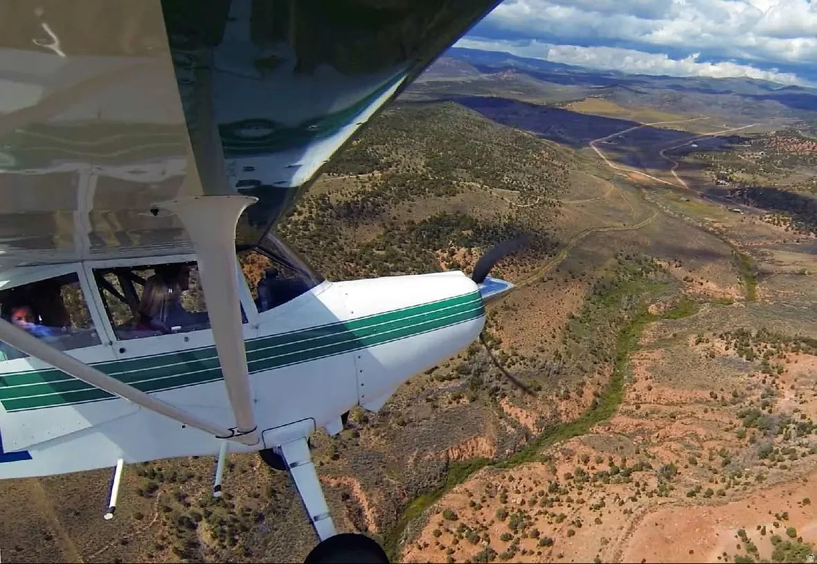 Plane View