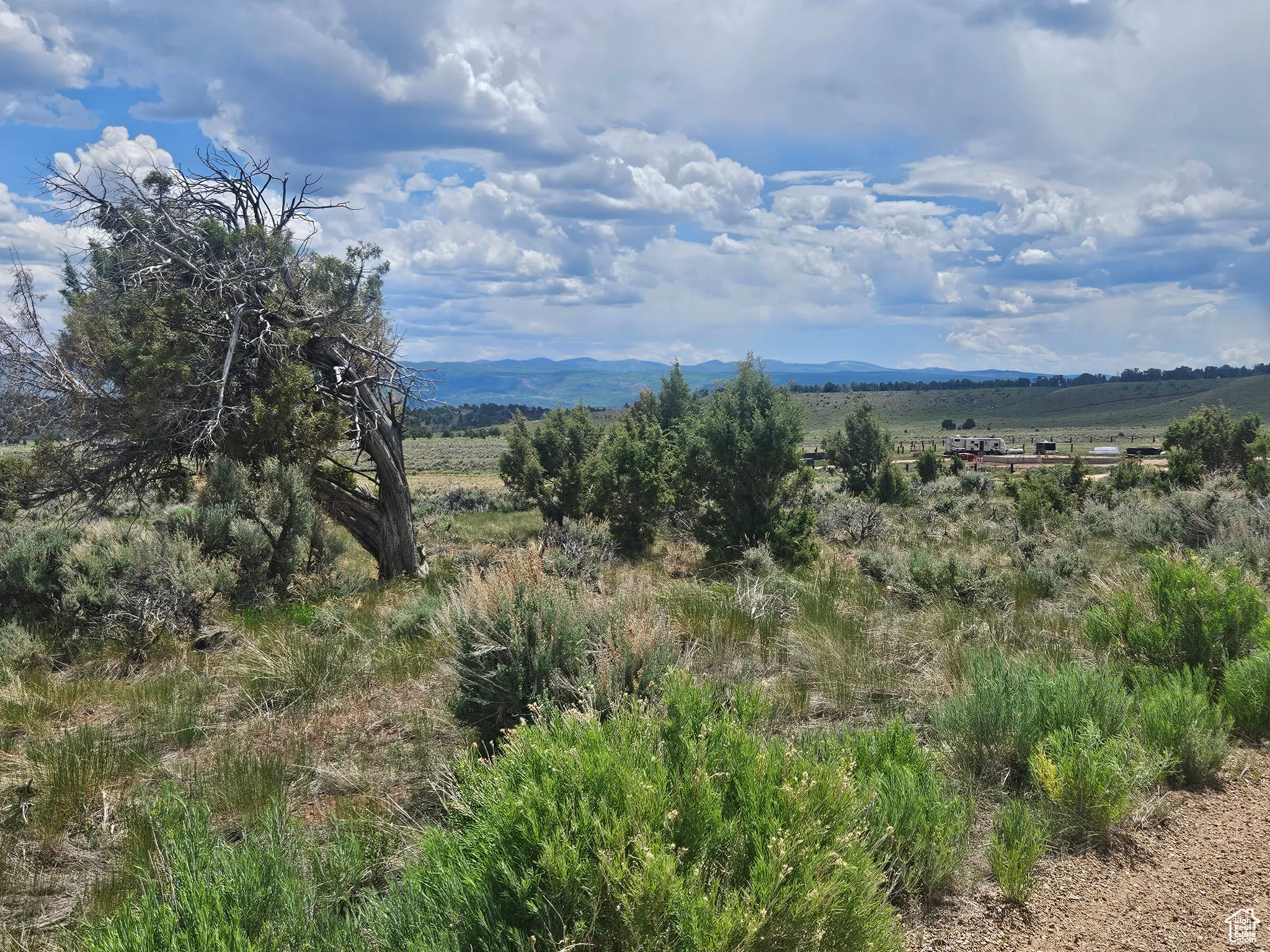 Beautiful Property Views with Nice Trees