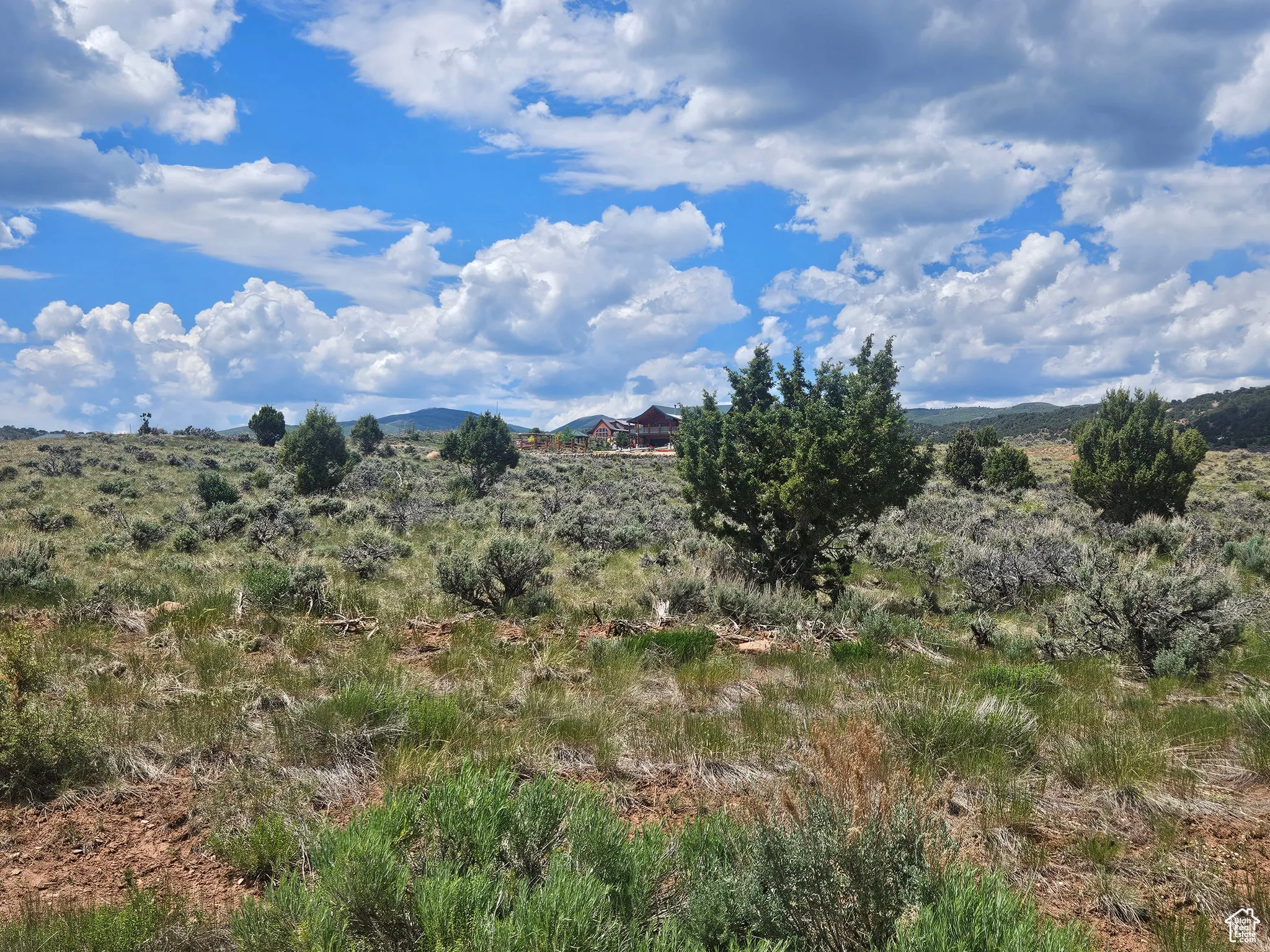 Beautiful Property Views with Nice Trees