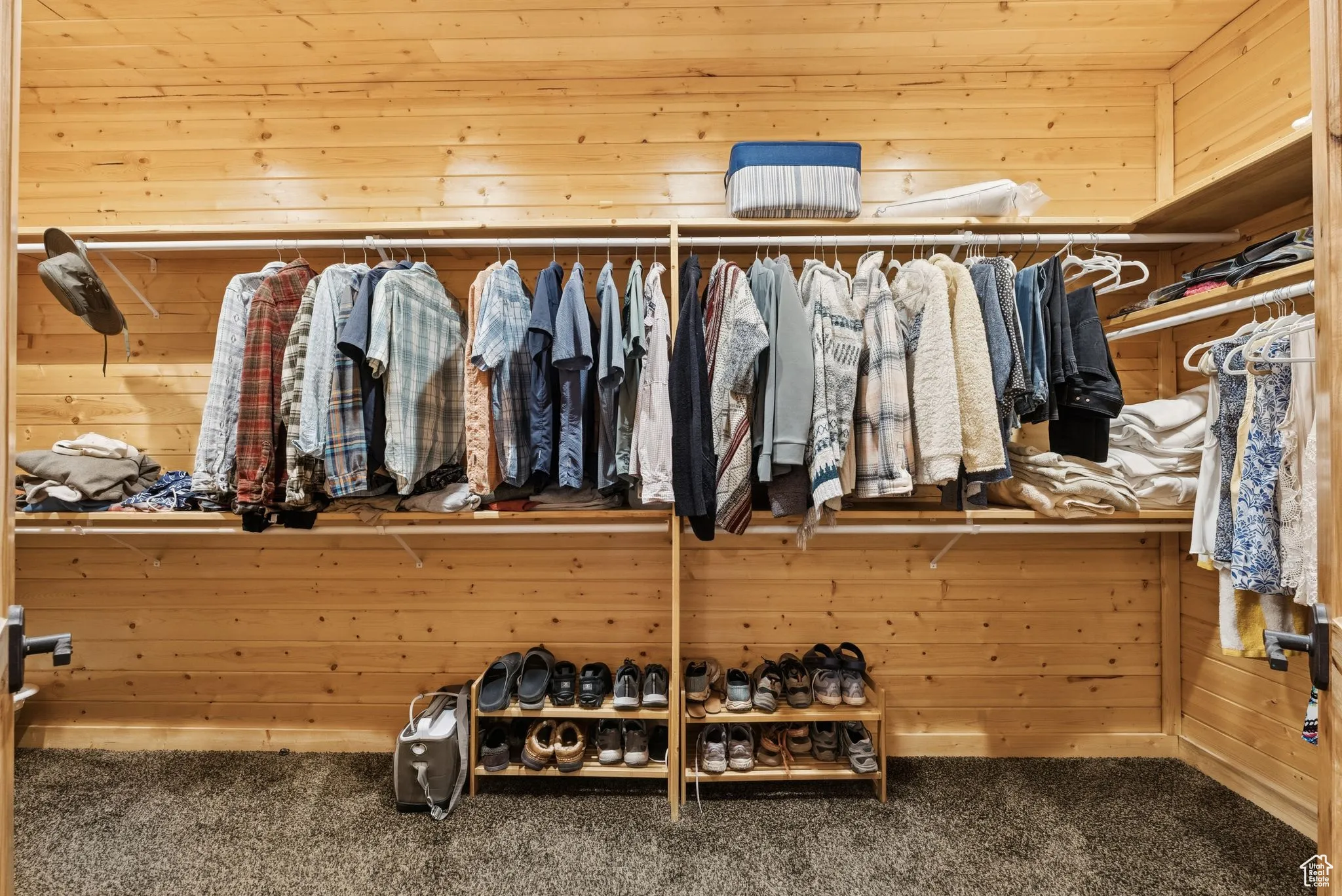 Spacious closet featuring carpet floors