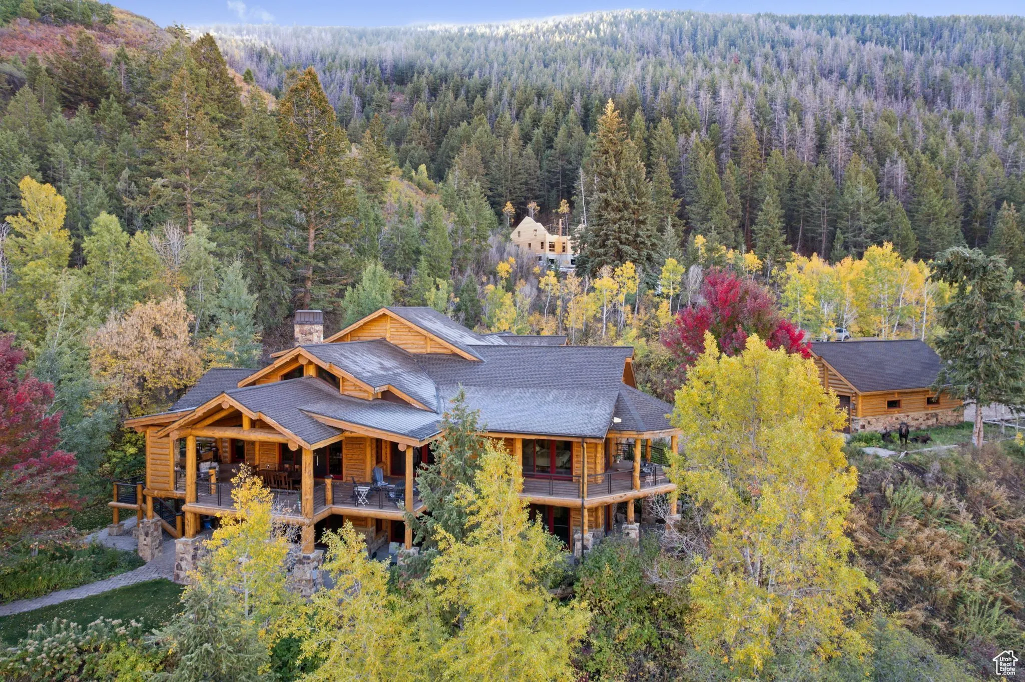 View of subject property featuring a forest