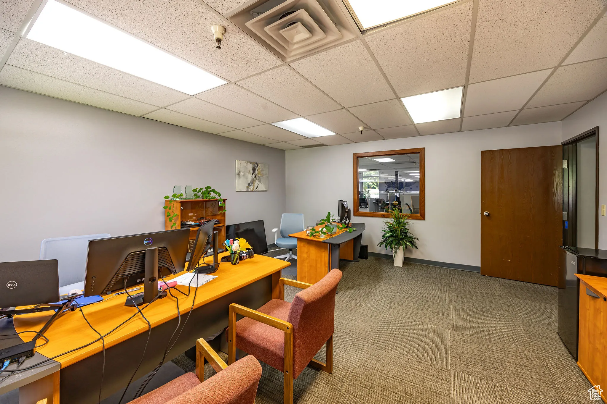 Carpeted office featuring a drop ceiling and baseboards
