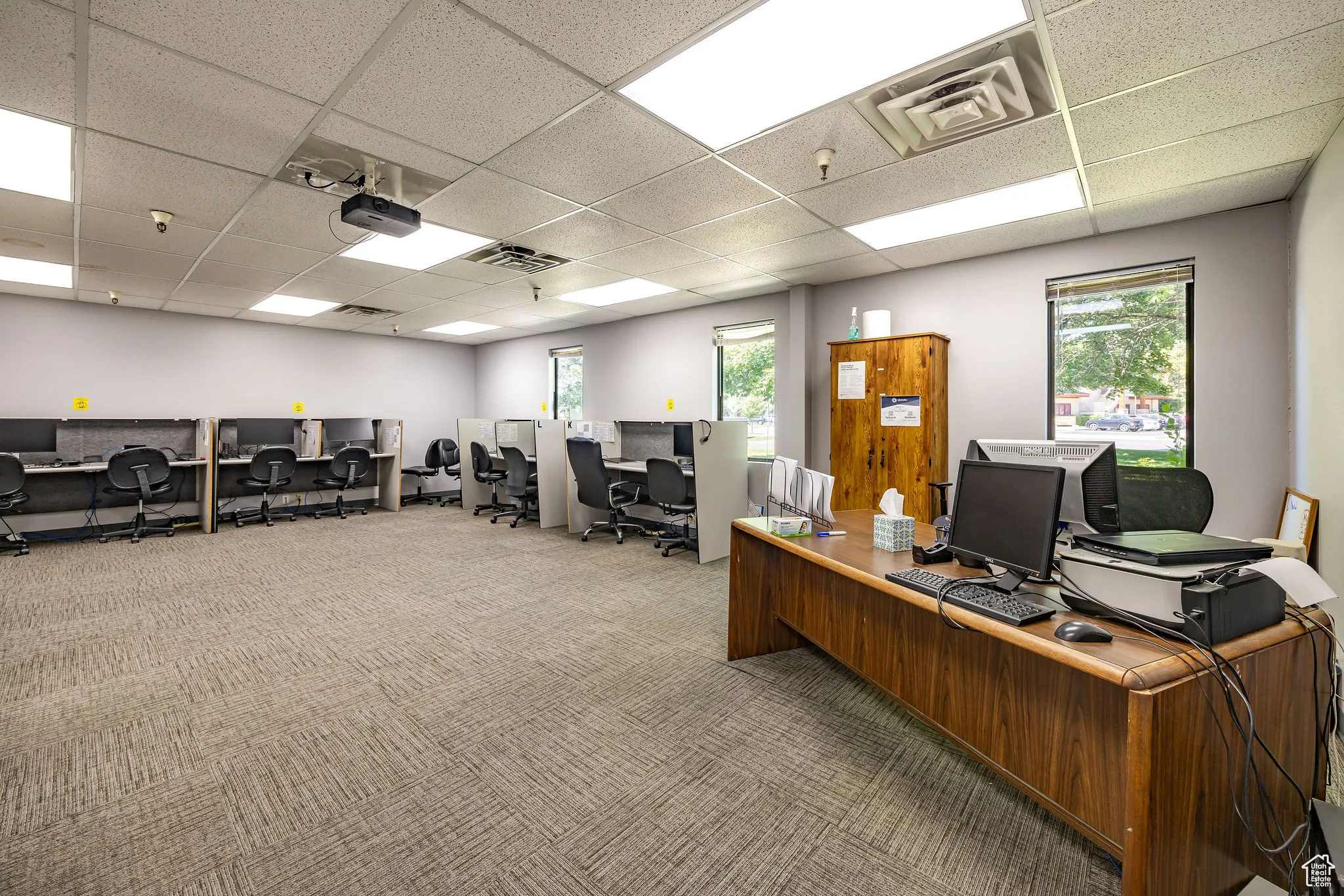 Home office featuring a drop ceiling, healthy amount of natural light, and carpet floors
