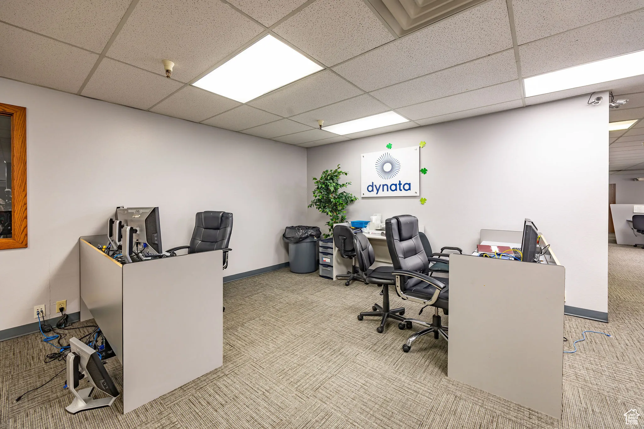 Carpeted office space featuring a drop ceiling
