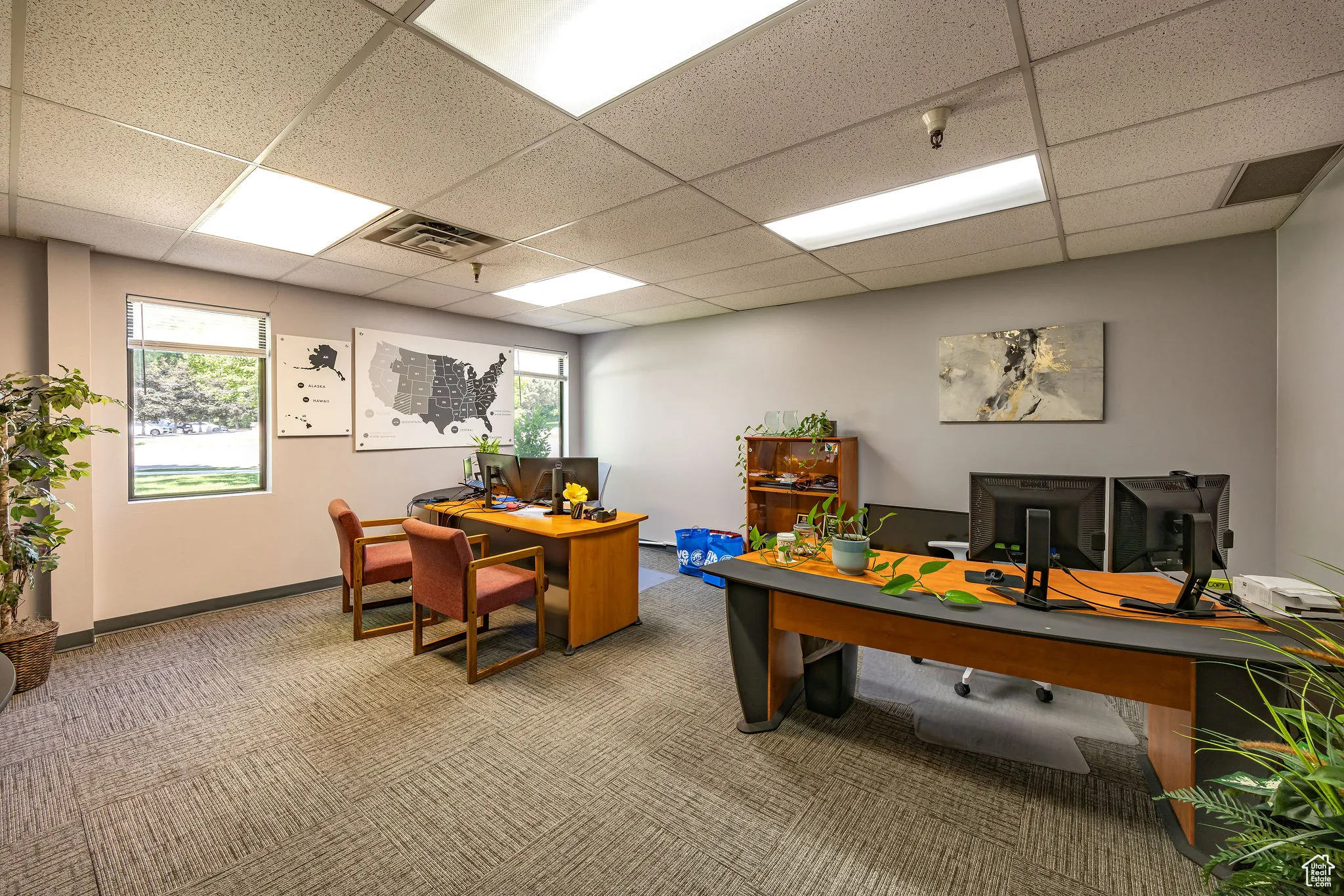 Home office with carpet floors, a paneled ceiling, and healthy amount of natural light