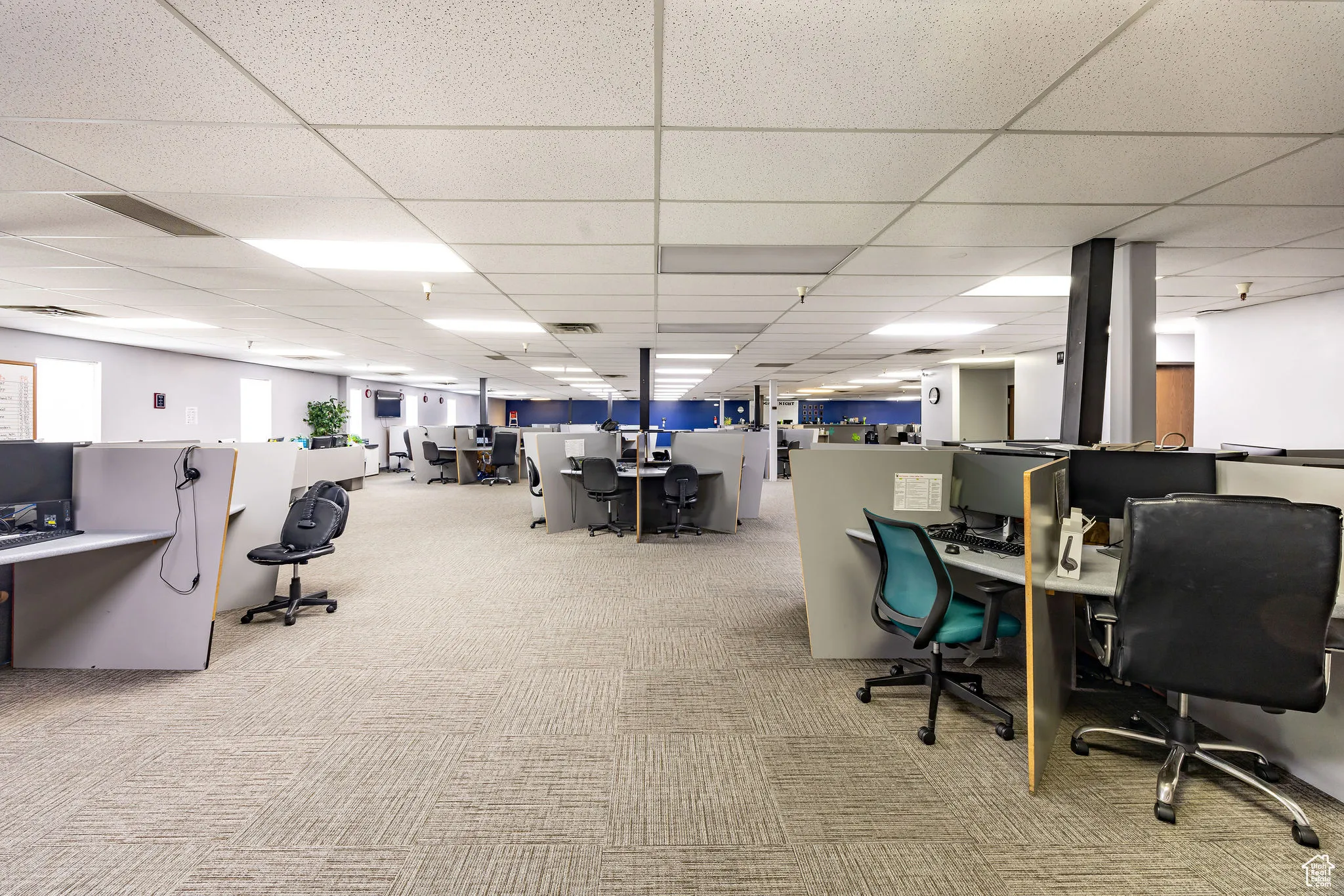 Carpeted home office featuring a drop ceiling