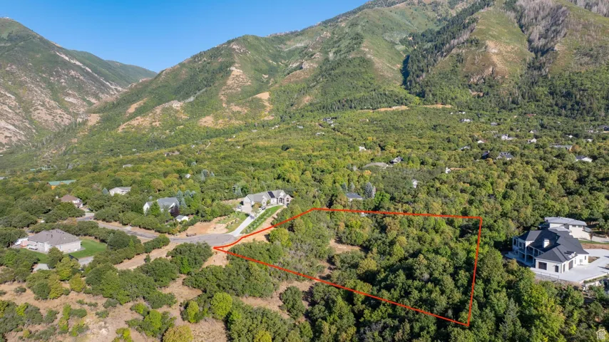 View from above the NW side of the lot (approximate lot lines drawn in)