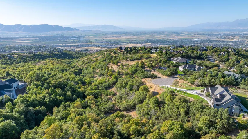 Lower view from above the SW end of the lot