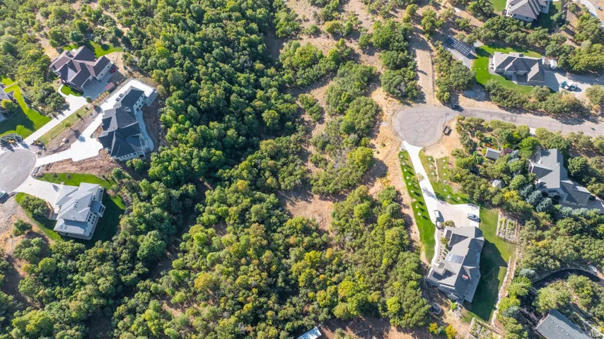 View from above the SE end of the lot