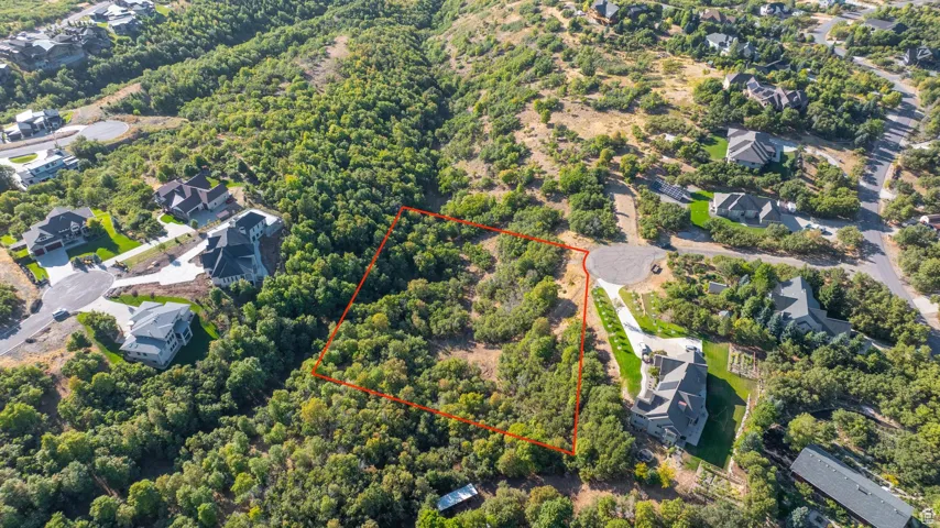 View from above the S side of the lot (approximate lot lines drawn in)