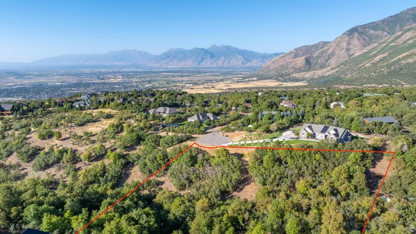 Lower view from above the SW side of the lot (approximate lot lines drawn in)