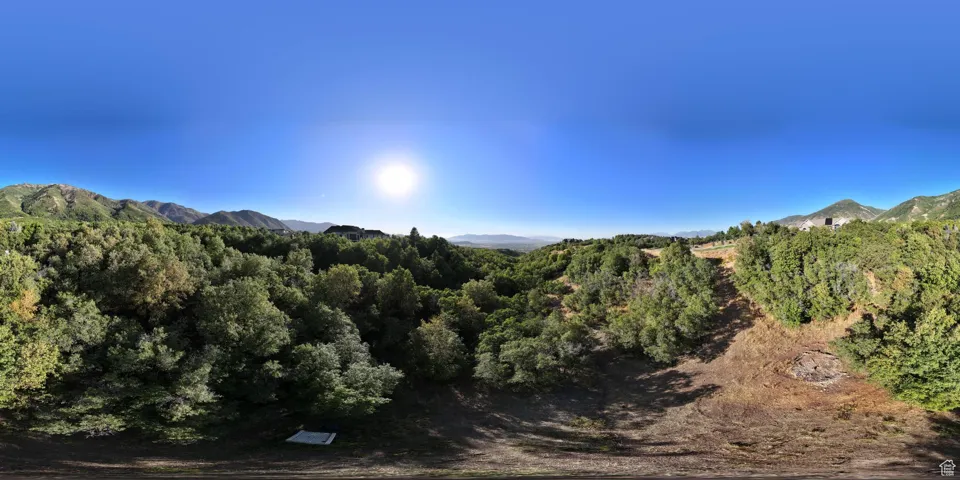 West facing view from standing on the East side of the lot/bottom of the hill from the entrance)