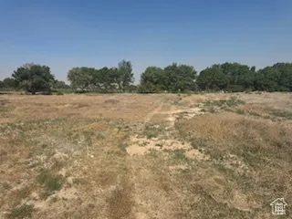 View of local wilderness with rural landscape