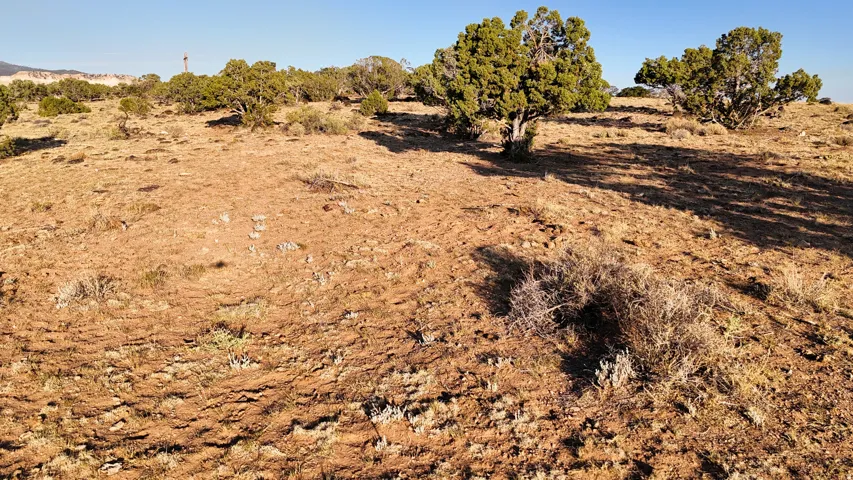 View of undeveloped land featuring rural landscape