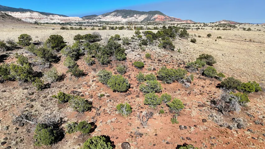 View of mountain background with a desert landscape and rural landscape