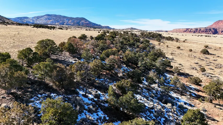 View of mountain background