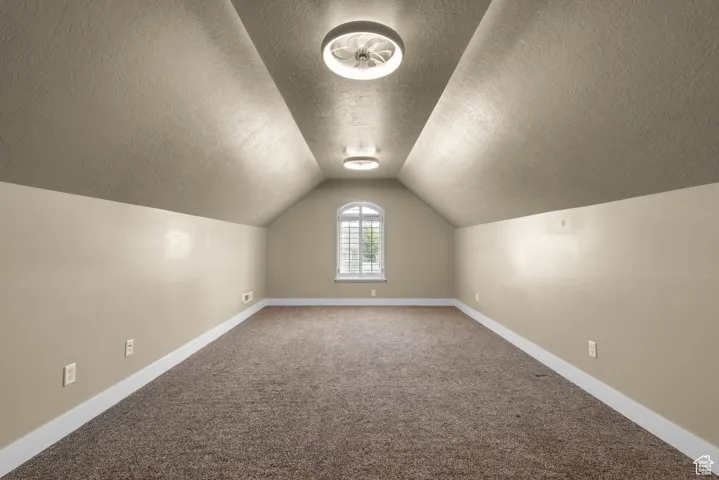 Additional living space with a textured ceiling, carpet floors, and lofted ceiling