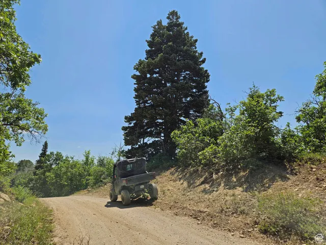 View of dirt / gravel road