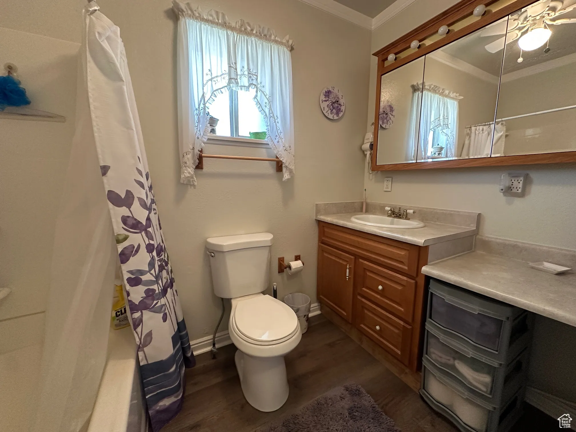 Full bath featuring ornamental molding, vanity, wood finished floors, and a ceiling fan