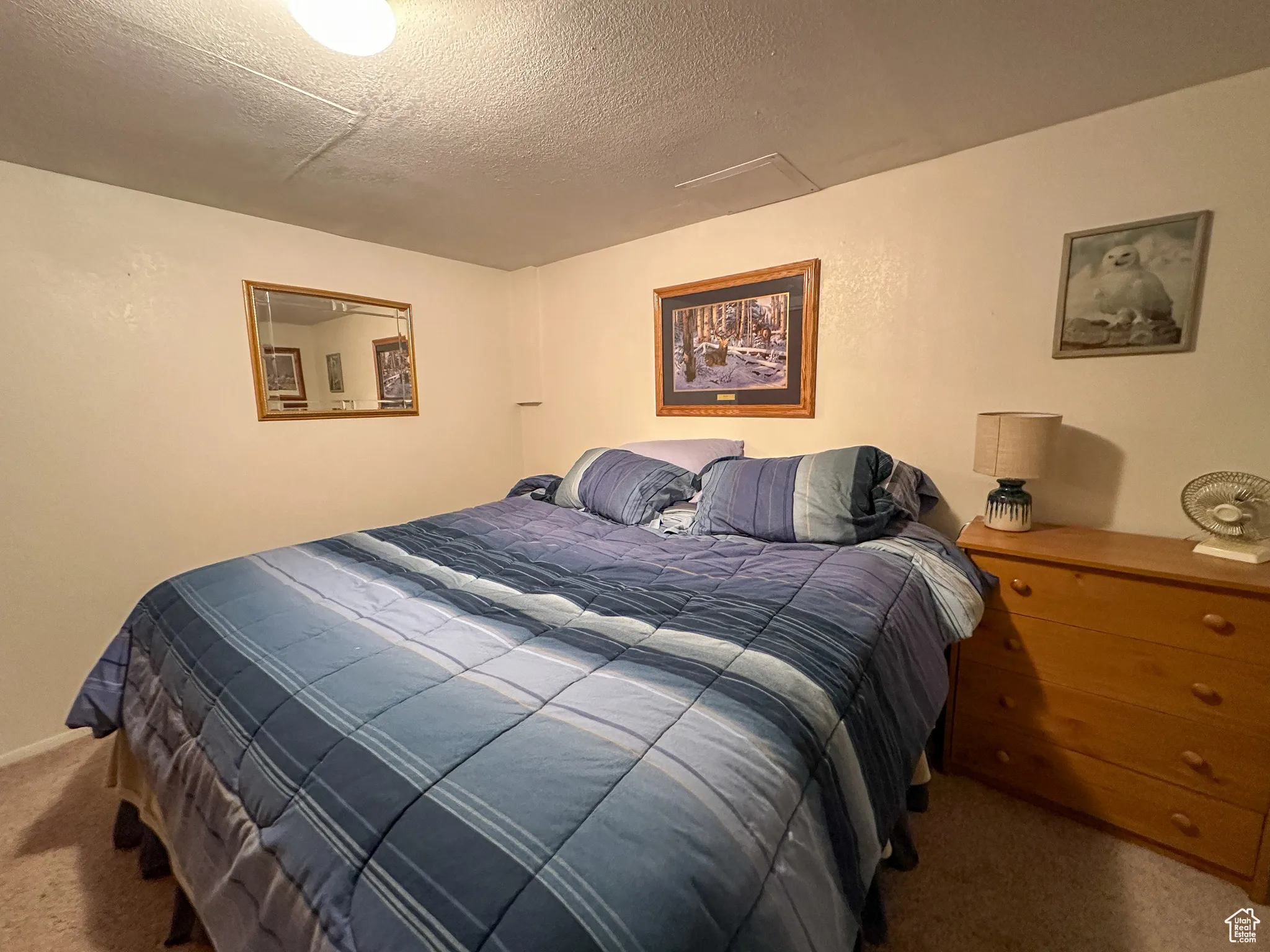 Carpeted bedroom featuring a textured ceiling