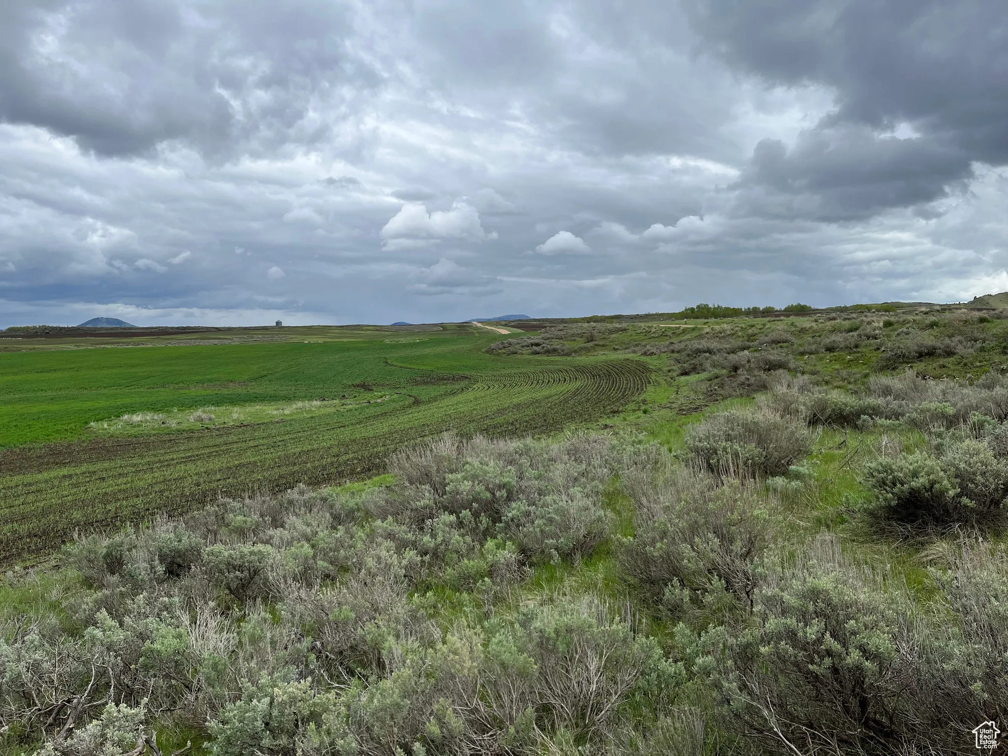 View of local wilderness with rural landscape