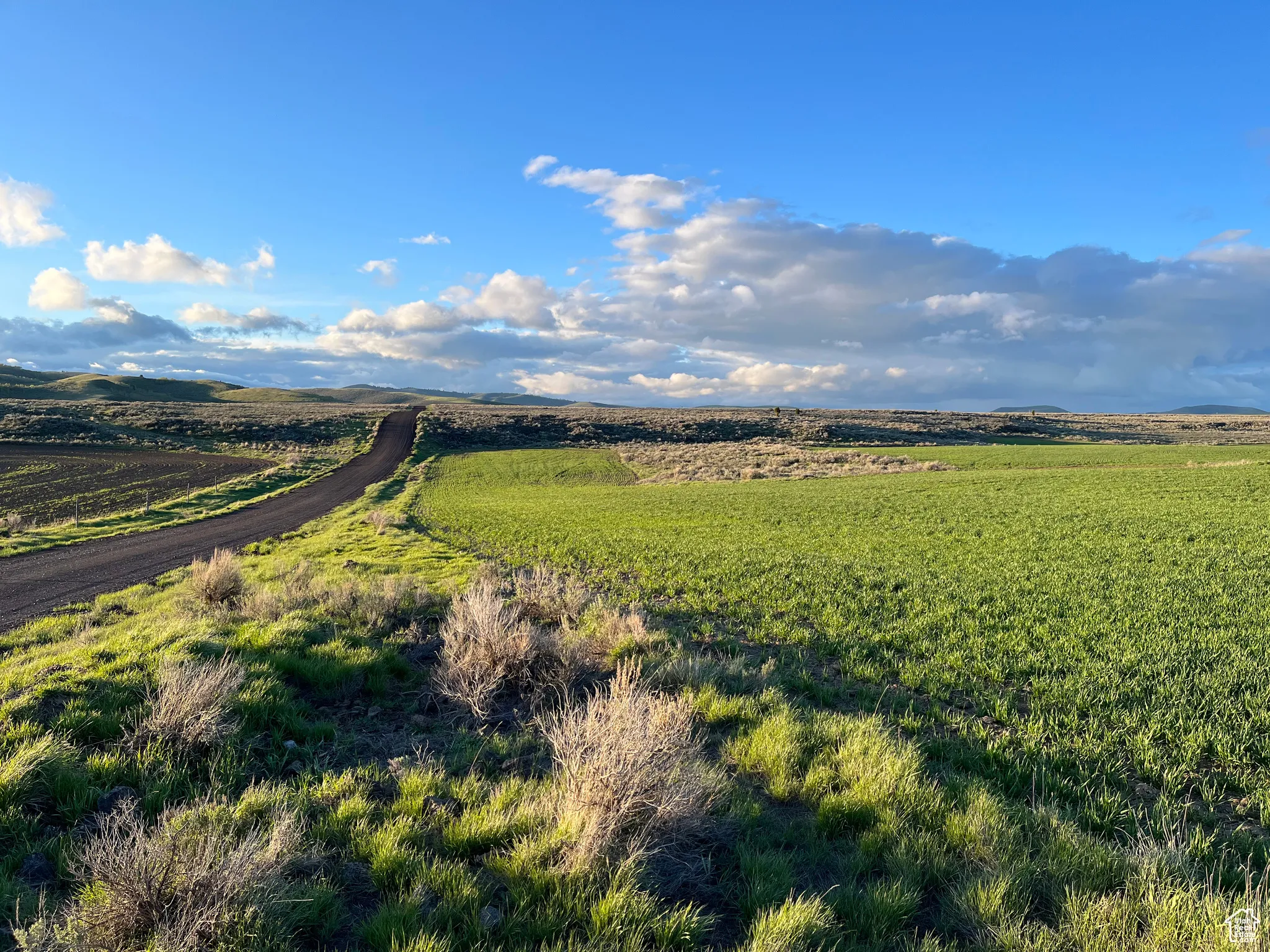 View of mountain background with rural landscape