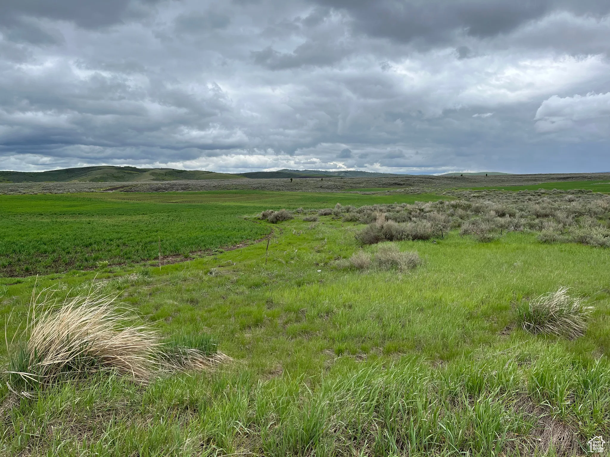 View of nature featuring rural landscape