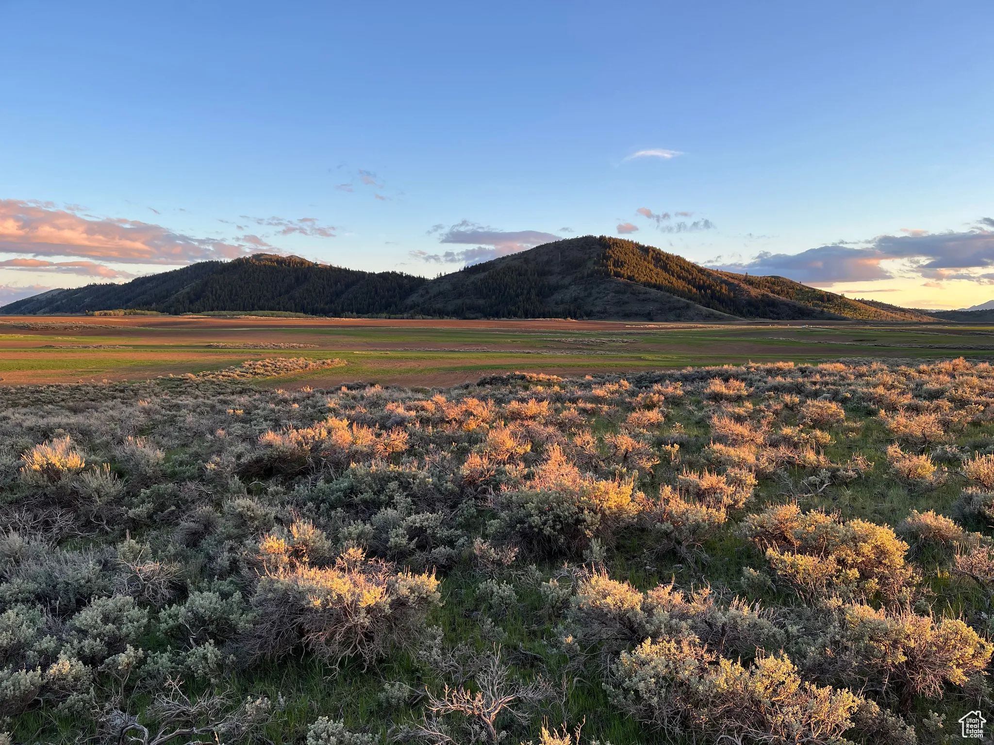 View of mountain backdrop