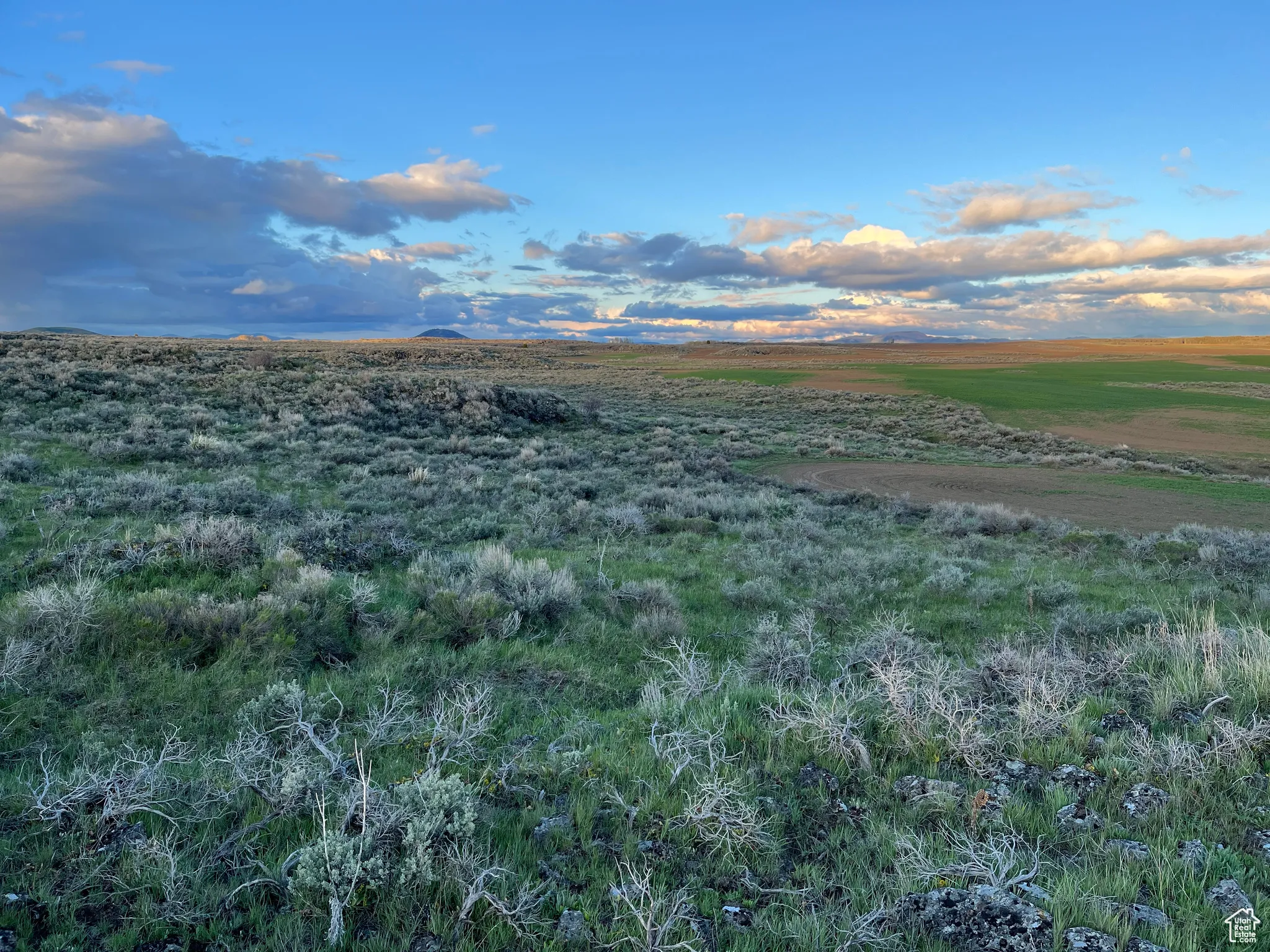 View of nature with rural landscape