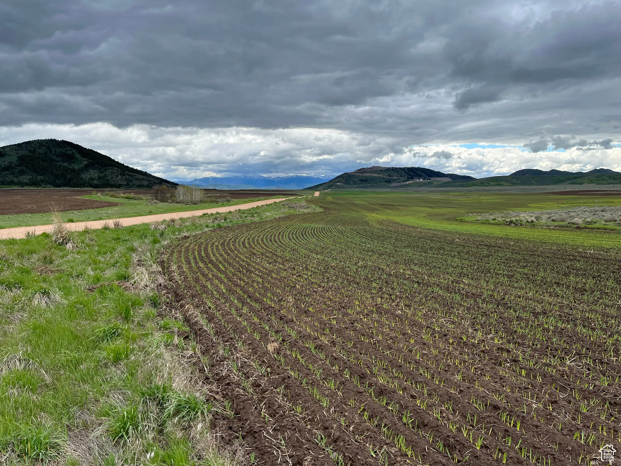 Mountain view with extensive farmland and rural landscape