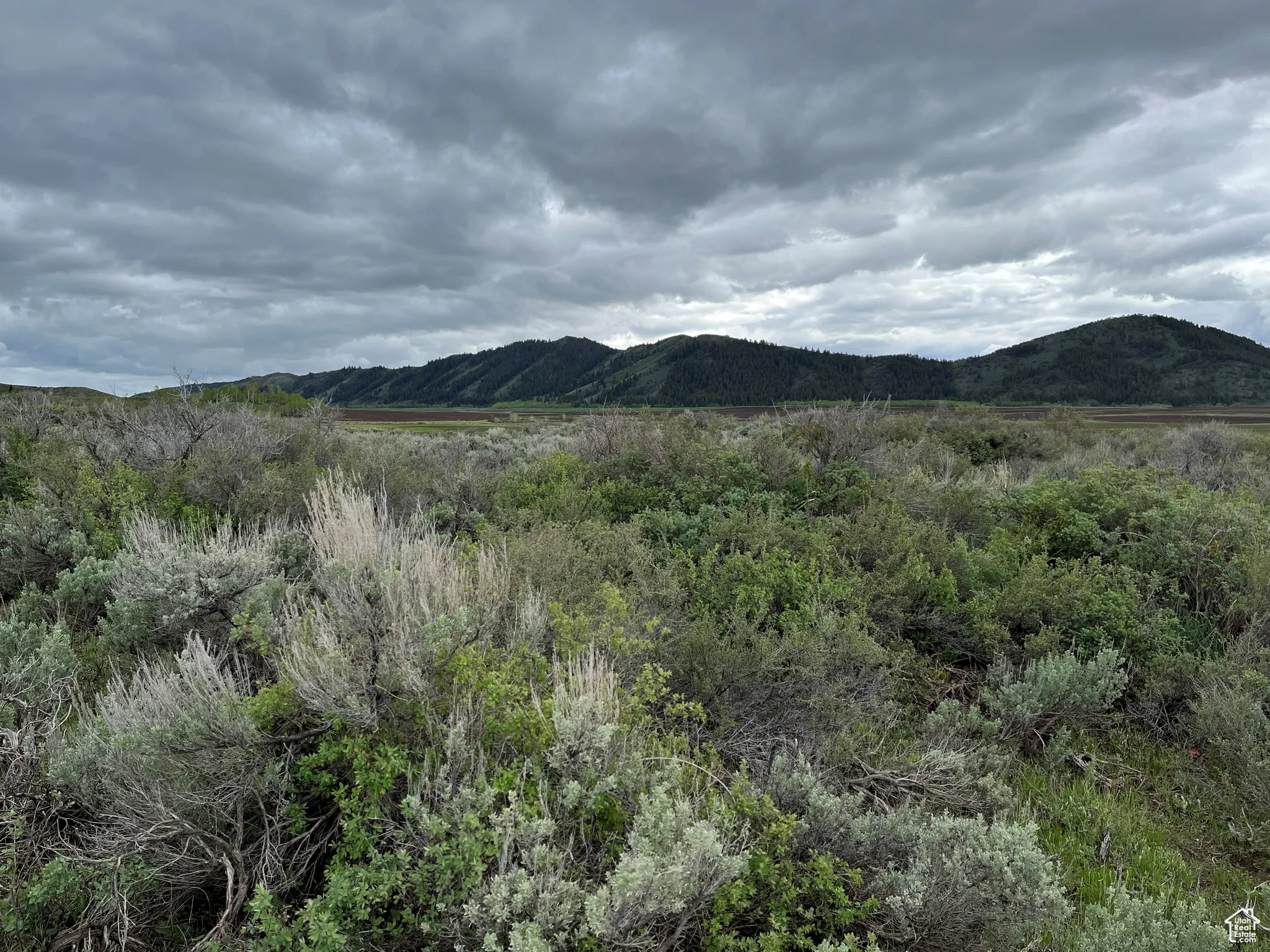 View of mountain background