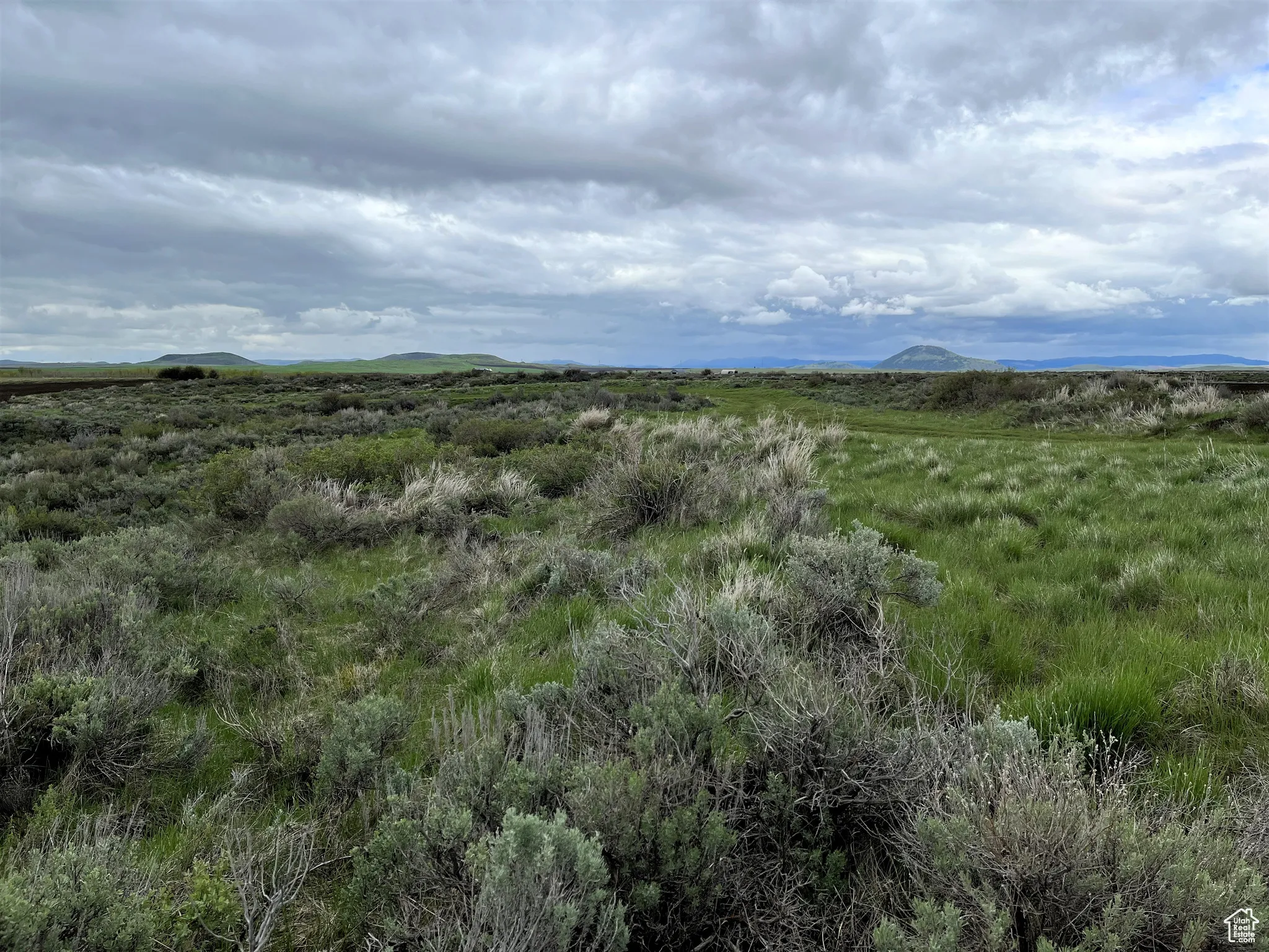 View of local wilderness