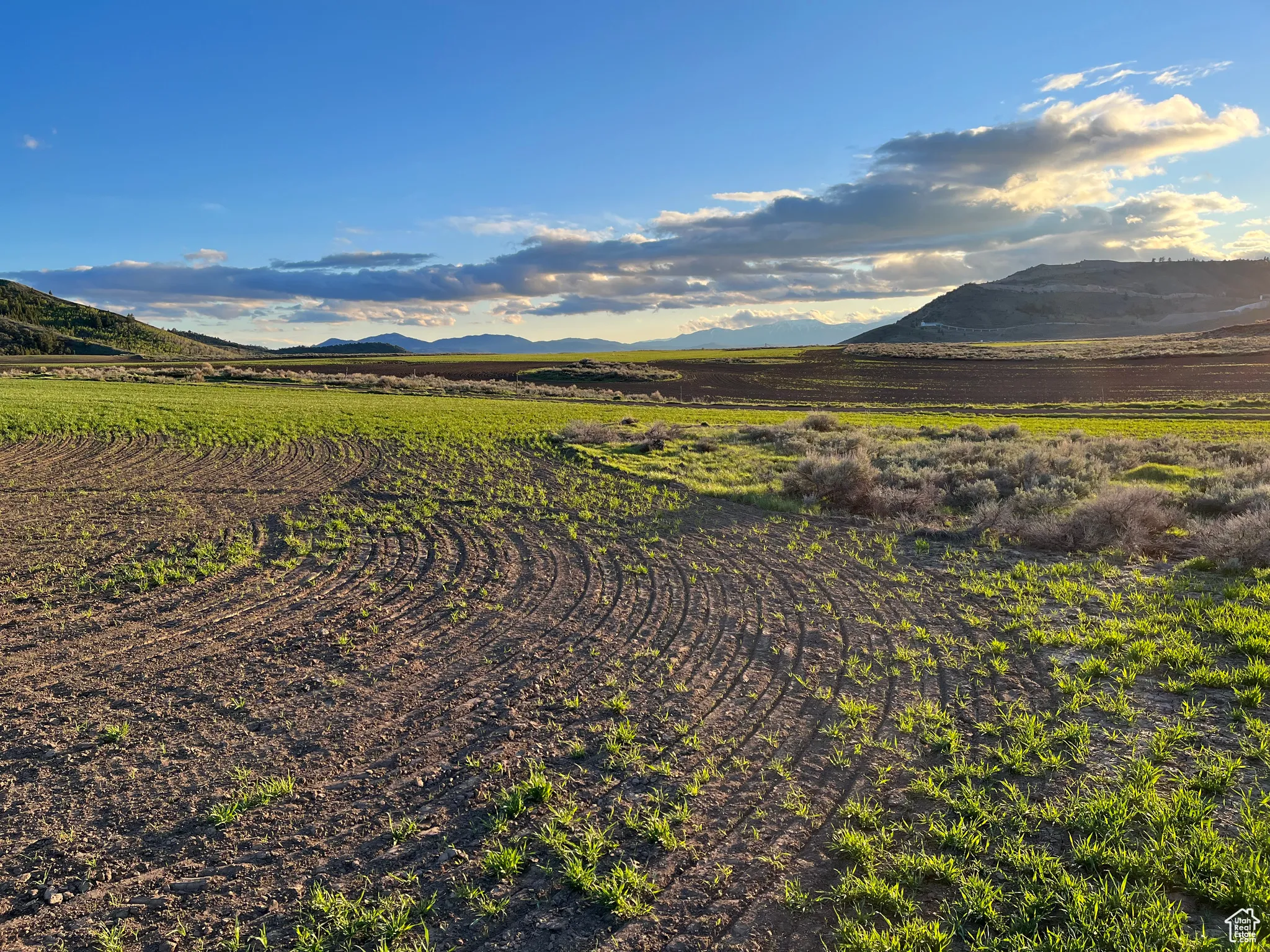 Mountain view with rural landscape