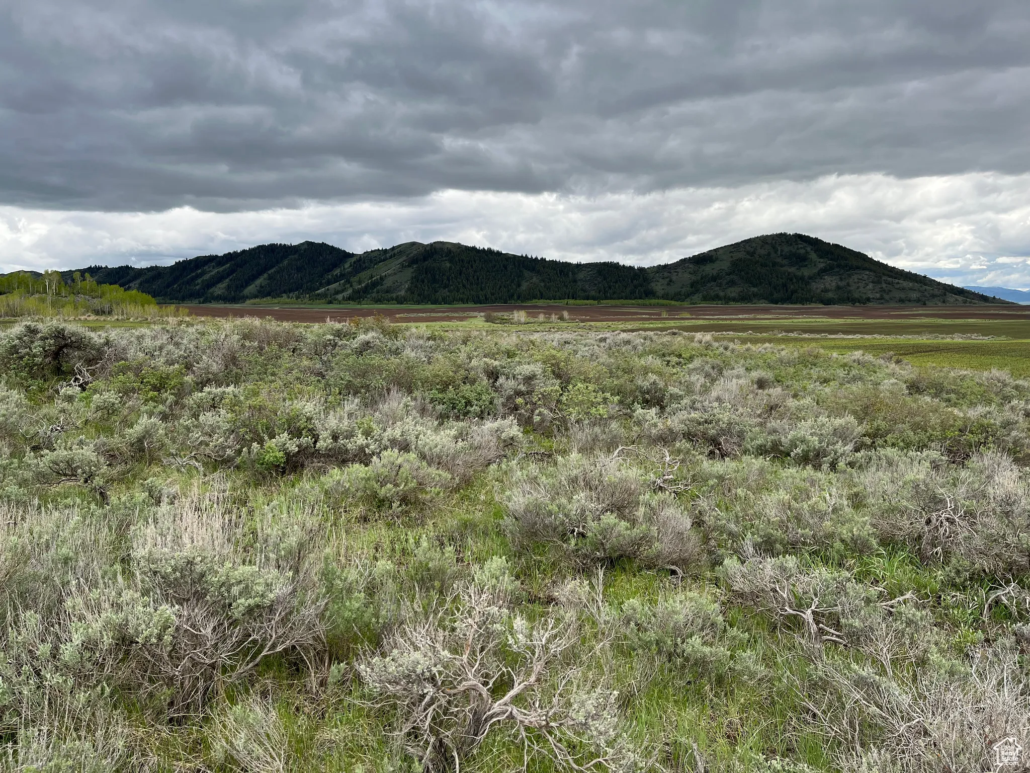 Mountain view with rural landscape
