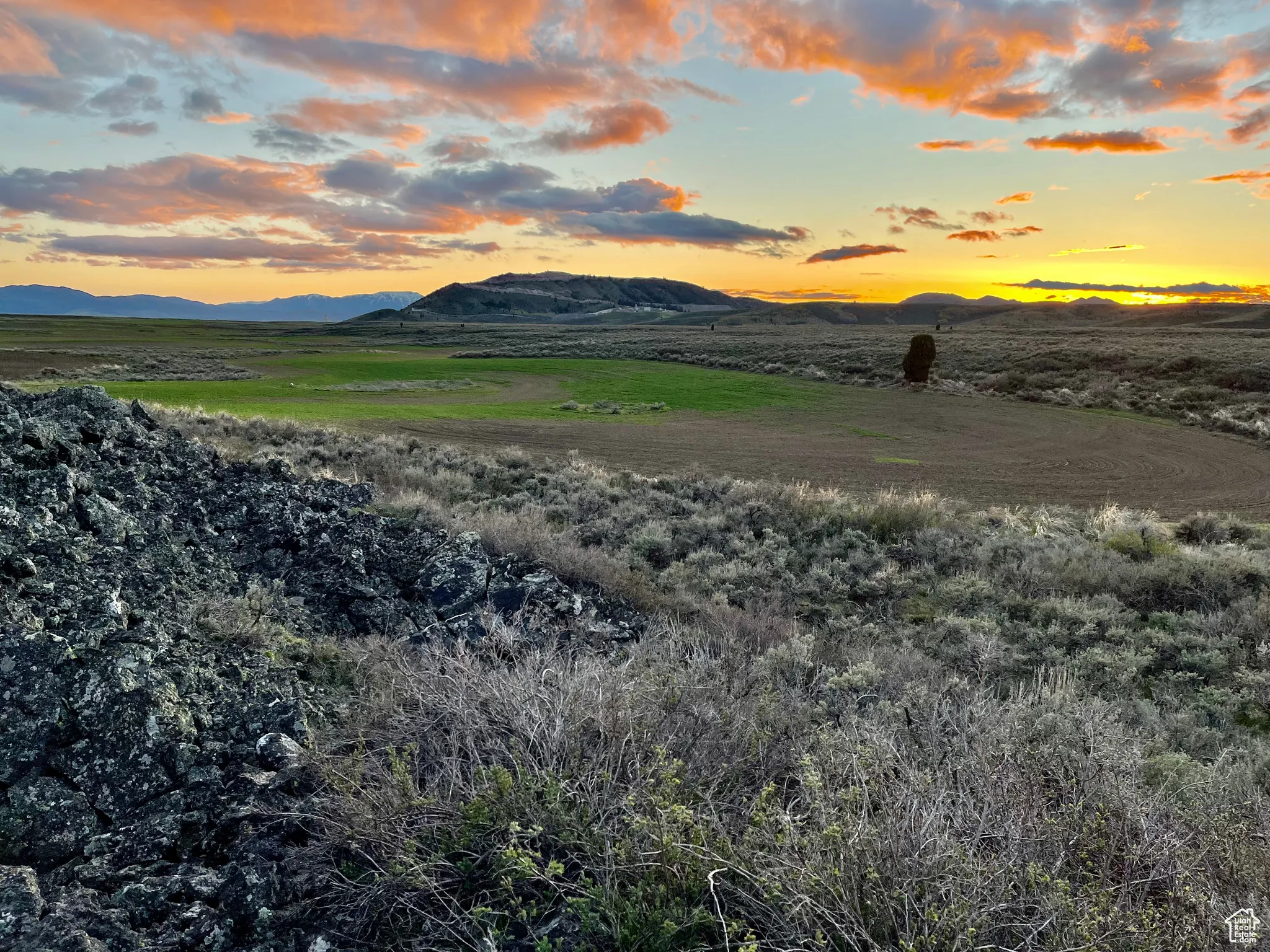 Mountain view