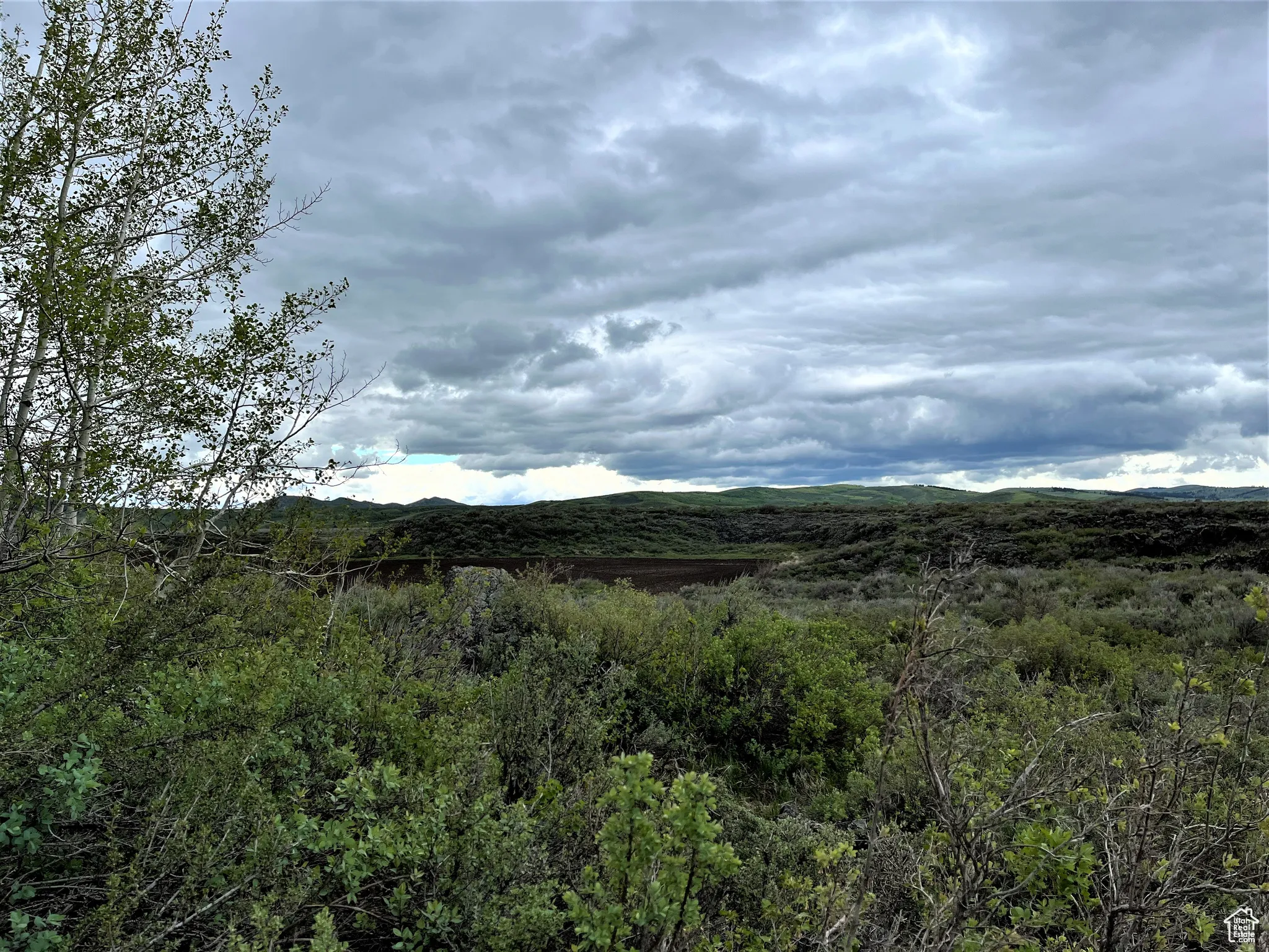 View of mountain background