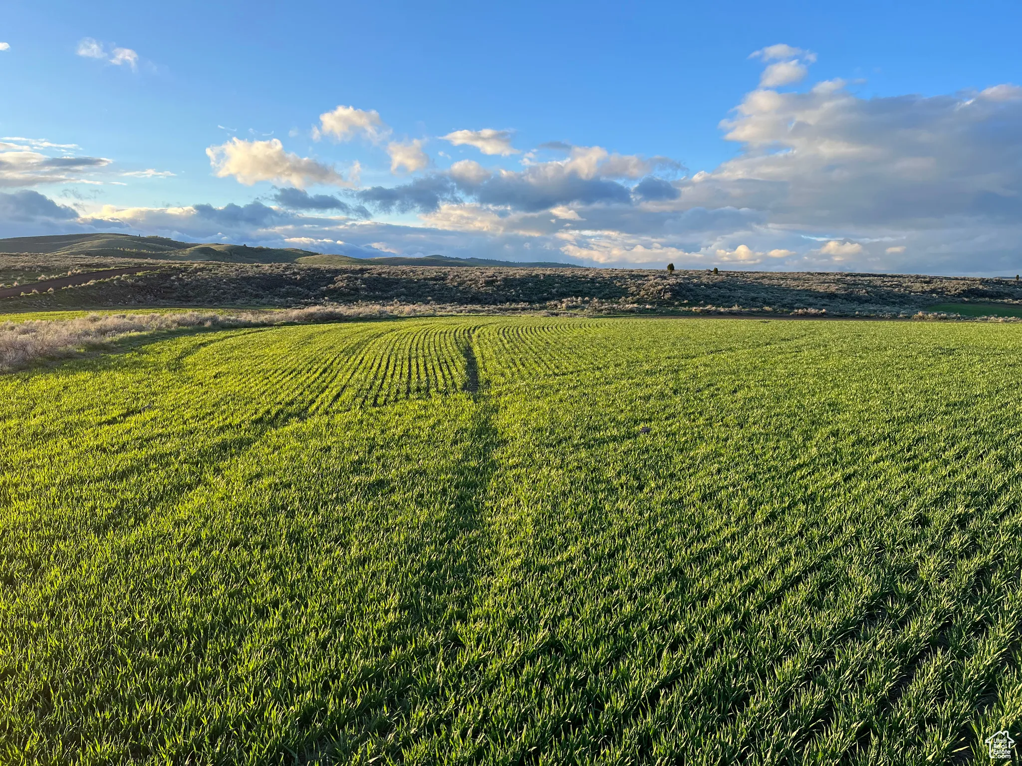 Aerial view of sparsely populated area featuring abundant farmland