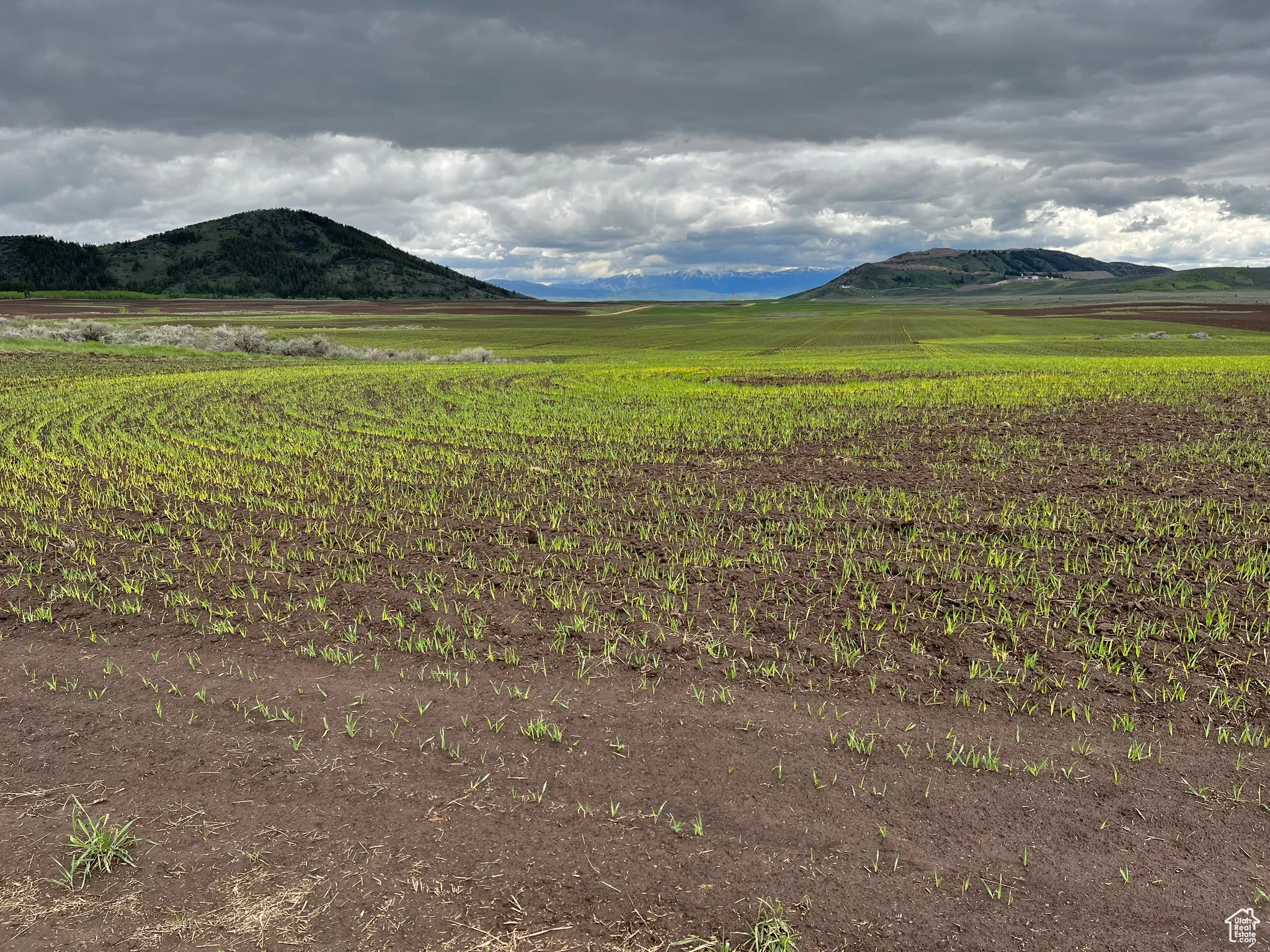 View of mountain background featuring rural landscape