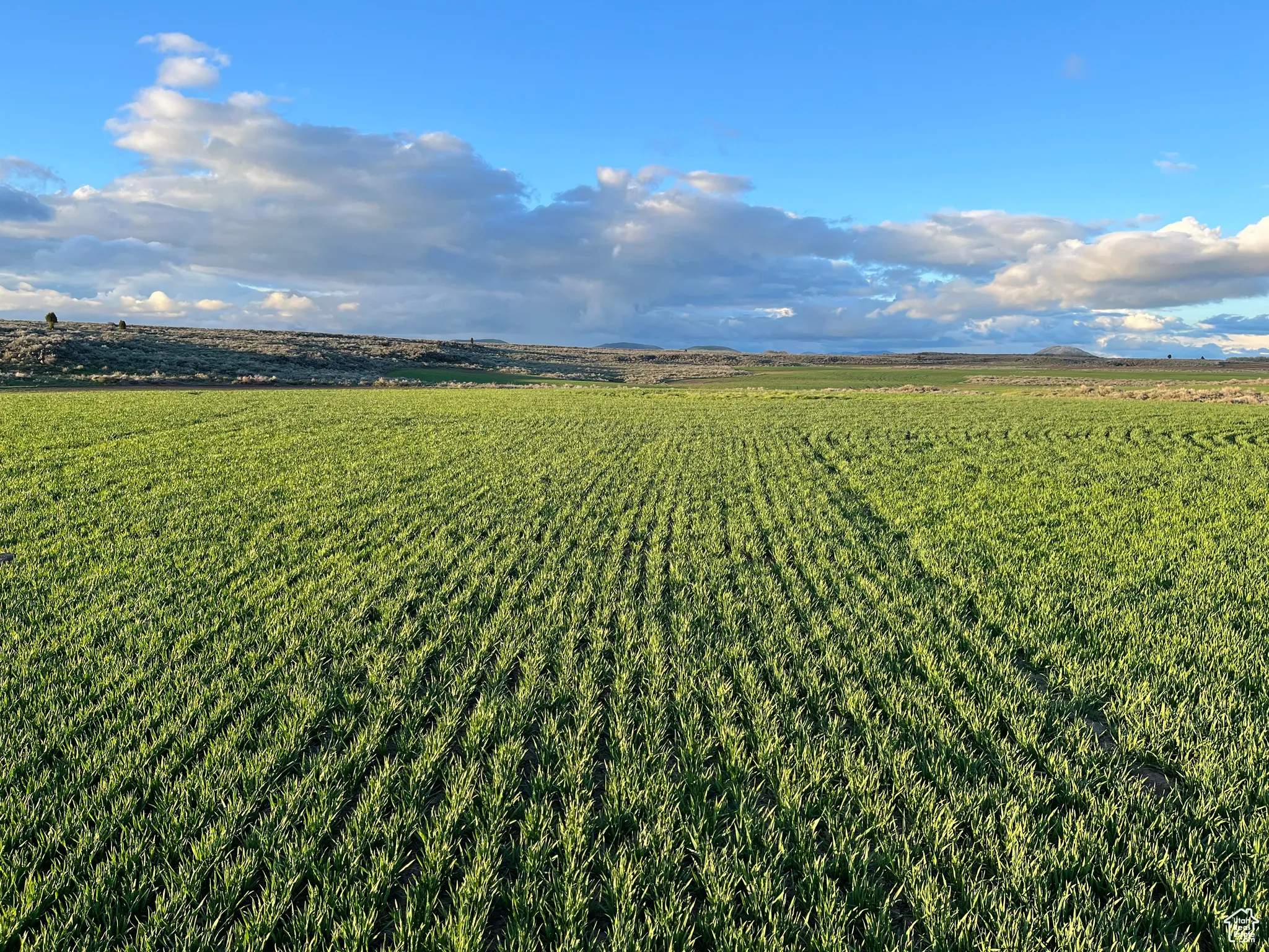 Aerial view of sparsely populated area with farmland