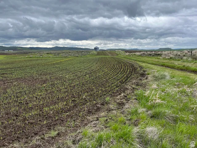 View of rural area featuring large plots for crops and mountains