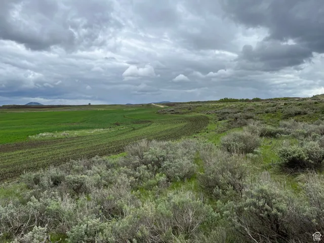 View of local wilderness with rural landscape