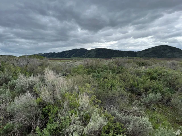 View of mountain background