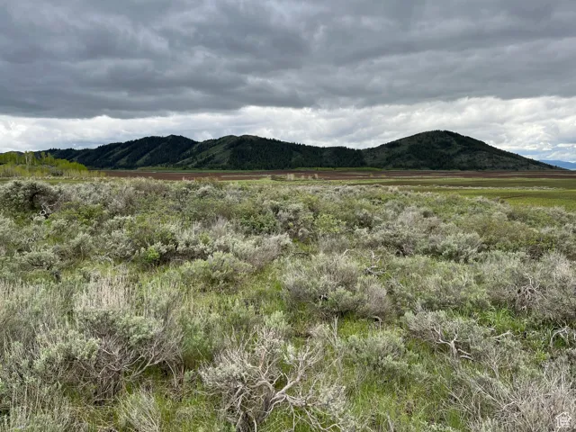 Mountain view with rural landscape