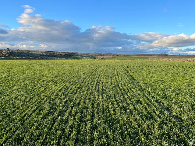 Aerial view of sparsely populated area with farmland