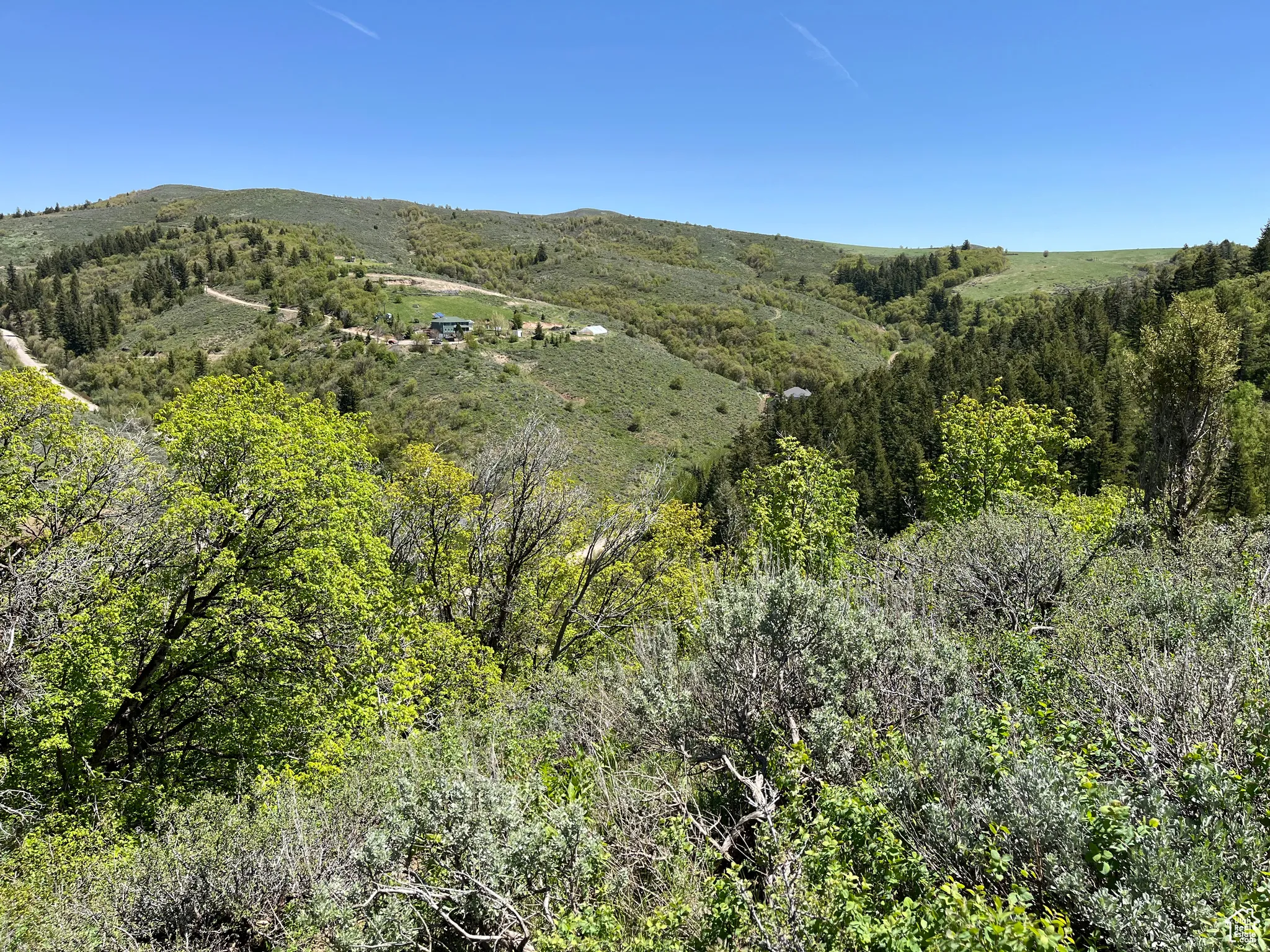 View of mountain backdrop featuring a heavily wooded area