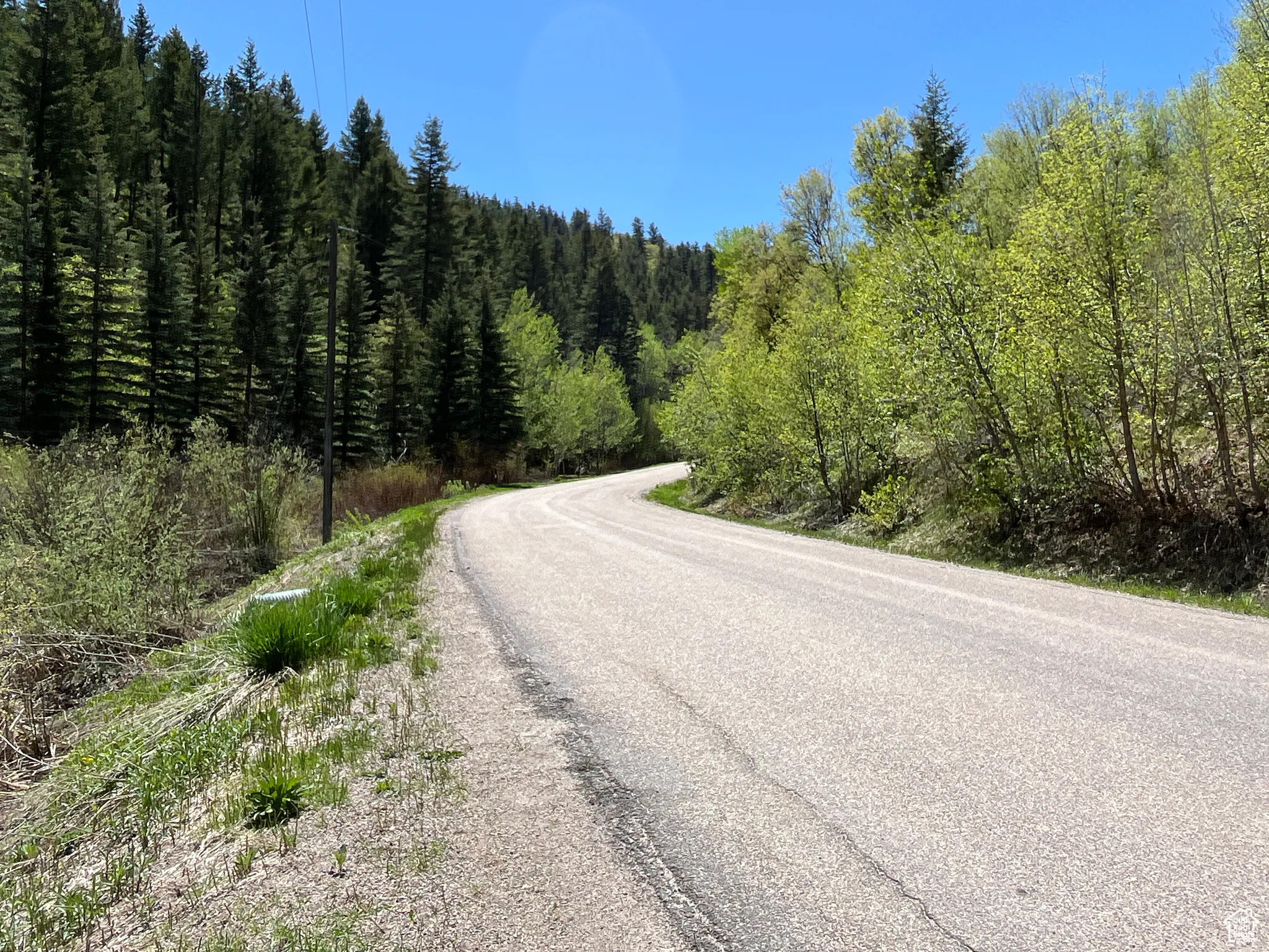 View of asphalt road featuring a forest view