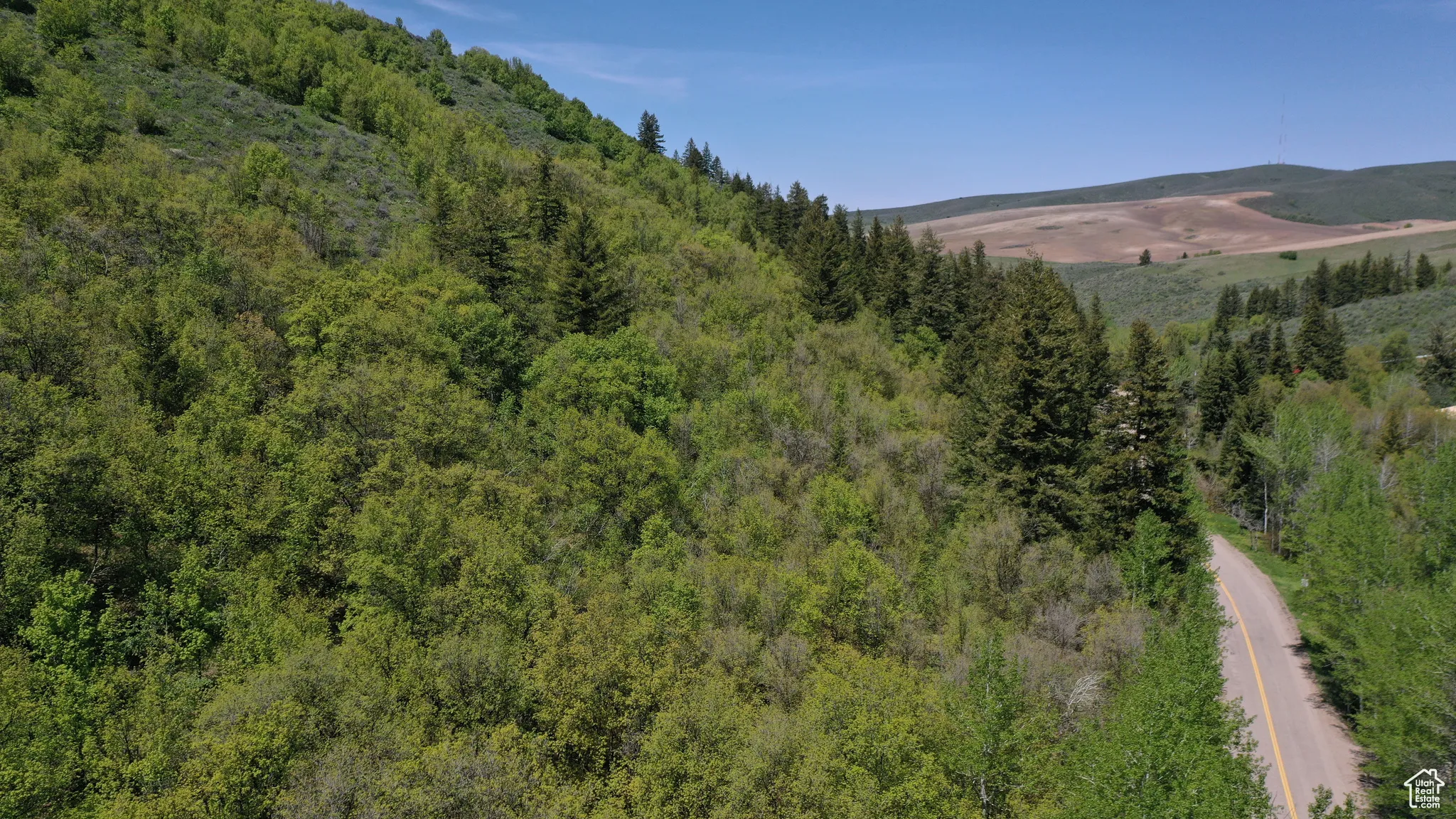 Mountain view featuring a forest
